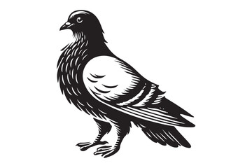pigeon silhouette