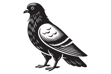 Pigeon Silhouette