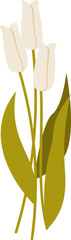 Wall Mural - tulip flowers handdrawn