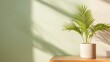 © PixelPlace - A vibrant green plant in a white pot sits on a light wooden table, casting shadows against a softly colored wall.