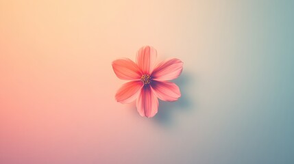 Aufkleber - Colorful pink flower displayed against a light pastel background in a soft artistic arrangement. Generative AI