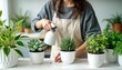 © miss irine - Young Asian woman waters houseplants on white wooden table. Wears casual clothes, apron. Stylish interior with many plants. Caring for home garden. Smiles happily. Concept home garden, stylish