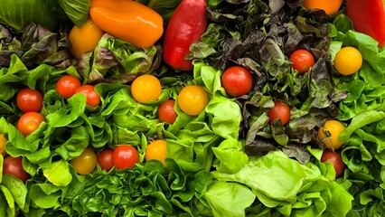 Wall Mural - Healthy vegetable salad. Fresh vegetables.