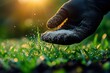 © zhuan - scattering granular fertilizer for healthy green grass in the backyard with gloved hand and vibrant lawn care