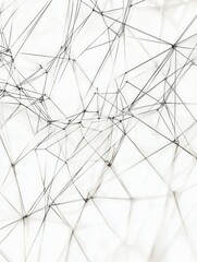Leinwandbilder - Intricate web of lines creating an abstract geometric pattern in monochrome tones. Generative AI