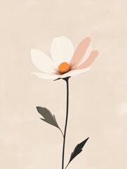 Poster - Elegant single blooming flower with soft petals and warm colors on a light background. Generative AI