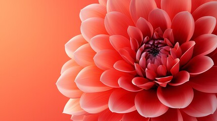 Canvas Print - Close up of a red dahlia flower with delicate petals on a solid coral background floral beauty