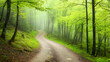 © pete99 - Misty forest path winding through lush greenery, background foliage, nature travel poster
