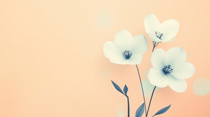 Leinwandbilder - Elegant white flowers with delicate petals against a soft peach background. Generative AI