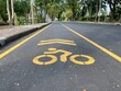 © MCCreative - Bicycle lane with yellow markings on asphalt in Lumphini Park, Bangkok, promoting cycling and eco-friendly commuting, copy space.
