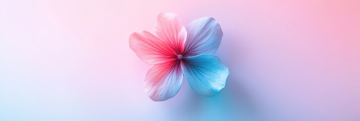 Poster - Colorful flower with gradients of pink and blue against a soft pastel background in artistic display. Generative AI