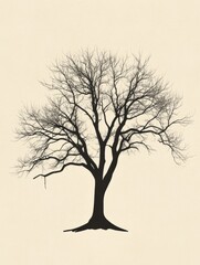 Poster - Silhouette of a leafless tree against a pale background in a serene and minimalistic setting. Generative AI
