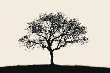Leinwandbilder - Silhouette of a solitary tree against a pale backdrop showcasing its intricate branches and leaves in tranquil surroundings. Generative AI