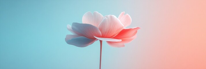 Leinwandbilder - Beautiful flower in soft pastel colors with delicate petals and a slender stem against a gradient background. Generative AI