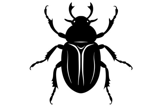 beetle silhouette vector white background