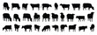 © Yanka - cow and calf silhouette set. cow and calf isolated farm animal silhouette icon vector collection