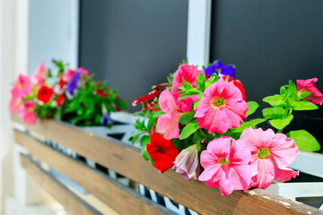 Wall Mural - decoration of the building with flowers in a wooden box on the street