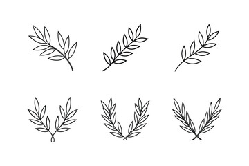 olive branches line art vector illustration