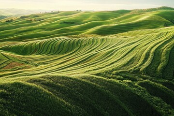 Wall Mural - Green hills landscape