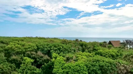 Wall Mural - Panorama view to jungle beach sea coast Tulum Mexico.