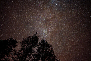 Wall Mural - dark sky full of stars over the forest. bieszczady mountains, carpathians, poland.