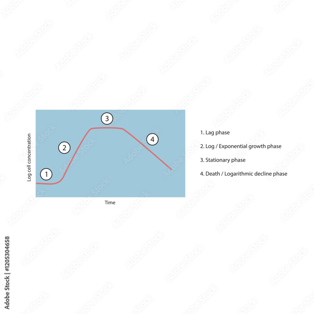 Normal Cell Growth Graph Diagram of bacterial growth curve - lag, log, stationary and death ...