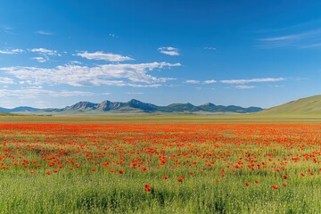 Poster - Vibrant red poppy field stretches across a serene landscape under a blue sky with distant mountains. Generative AI