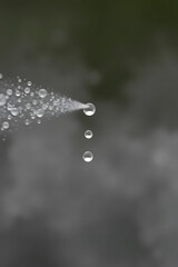 Wall Mural - A close-up of water droplets being sprayed, with a blurred background. The image captures the motion of water in a fine mist, highlighting the beauty of droplets.