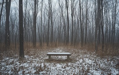 Sticker - Snowy forest path with bench.