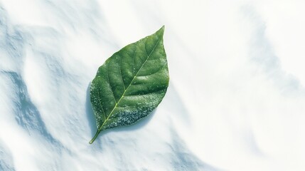 Green leaf resting on a blanket of pristine white snow in winter