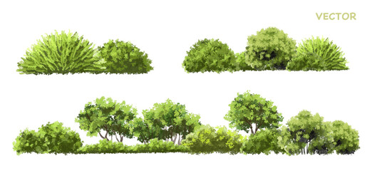 Wall Mural - vector watercolor green tree or forest side view isolated on white background for landscape and arch