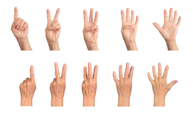 elderly caucasian hand counting numbers 1 to 5, fingers extended with palmar and dorsal views, wrink
