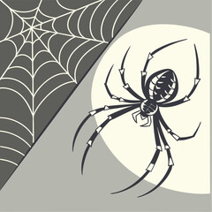 A spider spinning a web