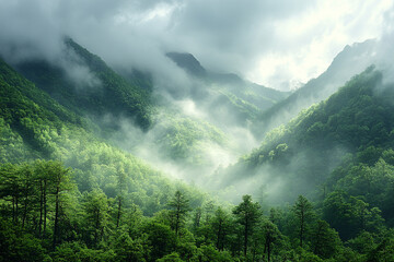 Wall Mural - Misty Mountains Verdant Forests Enveloping Peaks