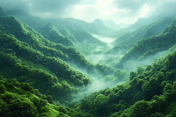 Wall Mural - Misty Green Mountains Enveloped In Morning Fog