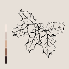 Sketch Floral Botany set. Nature drawings. Black line art on color backgrounds. Hand Drawn Botanical Illustrations. Vector.