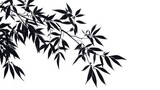 bamboo leaves