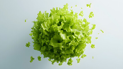 Wall Mural - 
A vibrant image of a green leafy lettuce head on a plain white background, green lettuce leaves