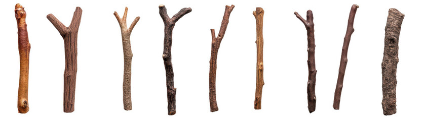 A collection of unique wooden sticks arranged side by side for artistic display. transparent background