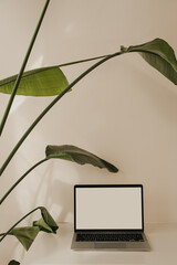 Wall Mural - minimalist workspace with laptop and green foliage. office design inspiration