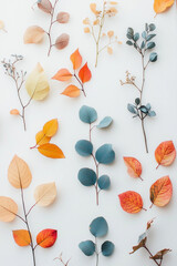 Wall Mural - knolling autumn plants, pastel colors, minimalist