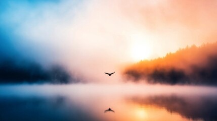 Poster - A solitary goose glides gracefully over a calm lake, while mist rises from the water and the soft light of dawn breaks through the fog, creating a peaceful moment
