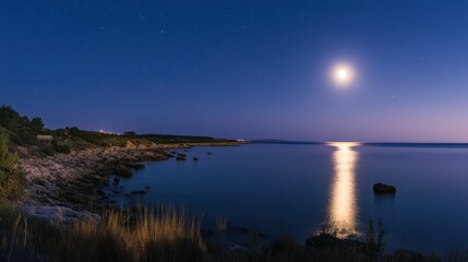 Wall Mural - Serene Moonlight over Coastal Rocks and Calm Sea