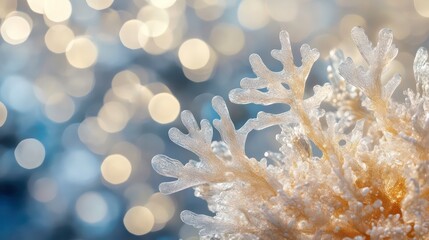 Poster - Close-up of a delicate, frosty, white coral-like structure against a bokeh background of blue and gold lights.