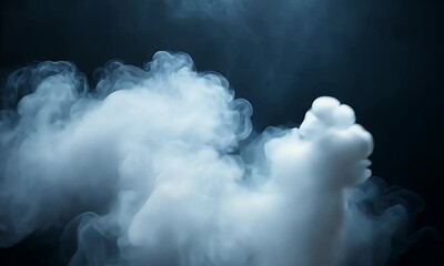 Wall Mural - ethereal smoke swirling gracefully against a dark backdrop, creating a mystical atmosphere for artis