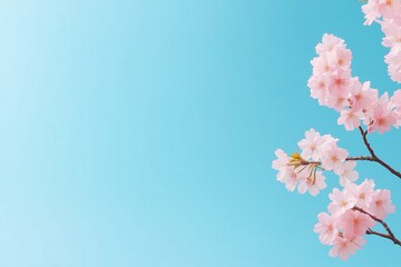 Canvas Print - A beautiful blue sky with a tree in the foreground. The tree has pink flowers blooming on it, creating a serene and peaceful atmosphere. The sky is clear and bright, with no clouds in sight