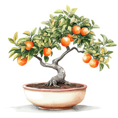 Wall Mural - A watercolor drawing of a persimmon bonsai, showcasing the striking orange persimmons and delicate green foliage, isolated on a white background. Bonsai vector.
