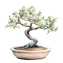 Wall Mural - A watercolor of an ironwood bonsai, isolated on a white background. Bonsai vector.
