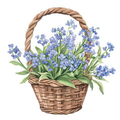 Wall Mural - A watercolor clipart of a Forget-Me-Not bouquet in a basket, isolated on a white background. Forget-Me-Not bouquet vector.
