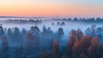 Wall Mural - as dawn breaks, a magical mist blankets the forest, shrouding the towering trees in mystery and crea